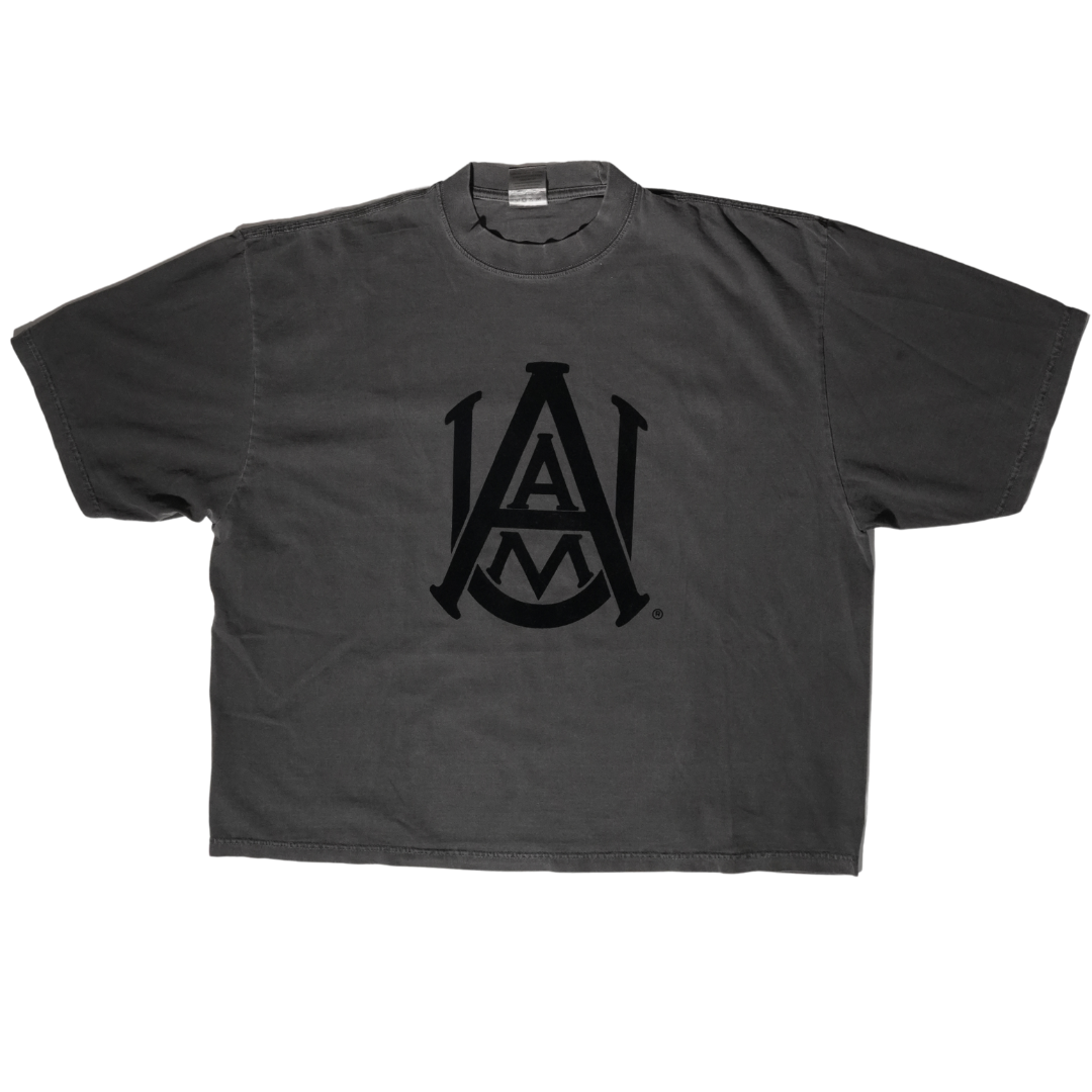 Alabama A&M Oversize Subtle Tee