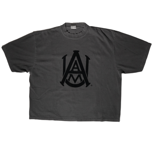 Alabama A&M Oversize Subtle Tee