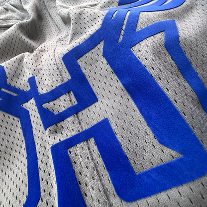 Hampton U Mesh Shorts
