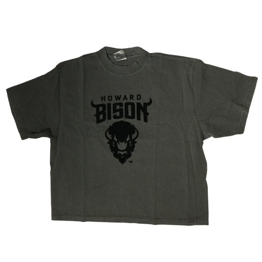 Howard University Subtle Oversize Tee