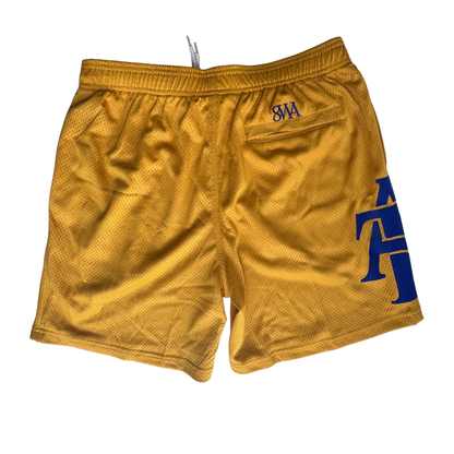 NCAT Aggie Pride Mesh Shorts