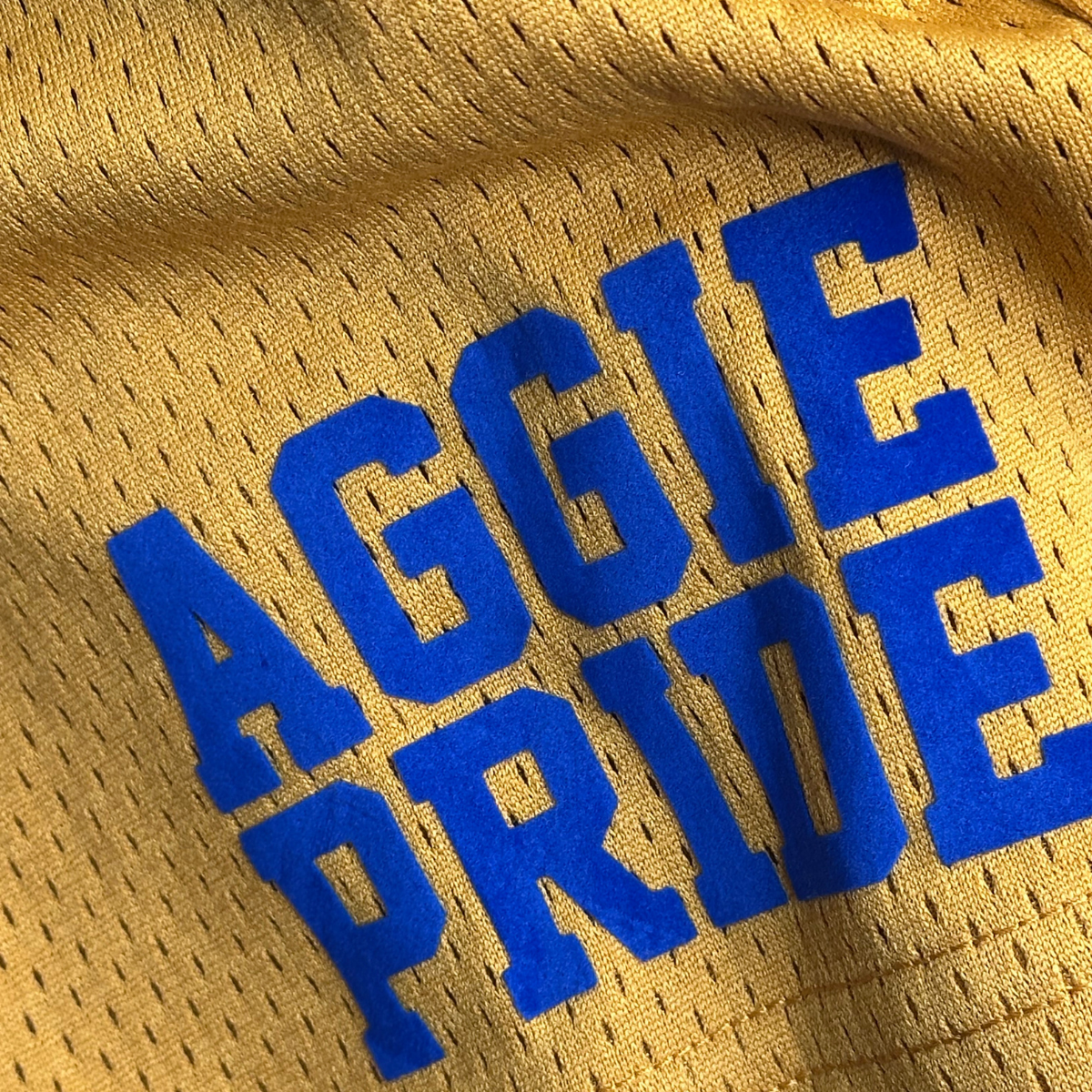 NCAT Aggie Pride Mesh Shorts