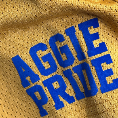 NCAT Aggie Pride Mesh Shorts