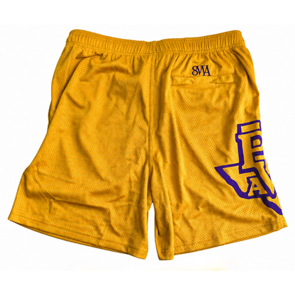 PVAMU Panther Mesh Shorts