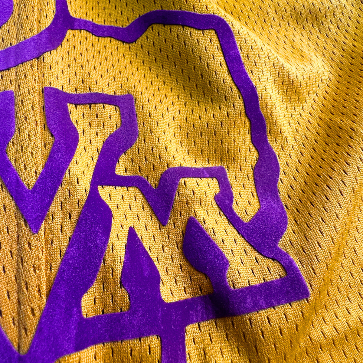 PVAMU Panther Mesh Shorts