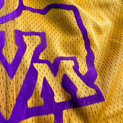 PVAMU Panther Mesh Shorts